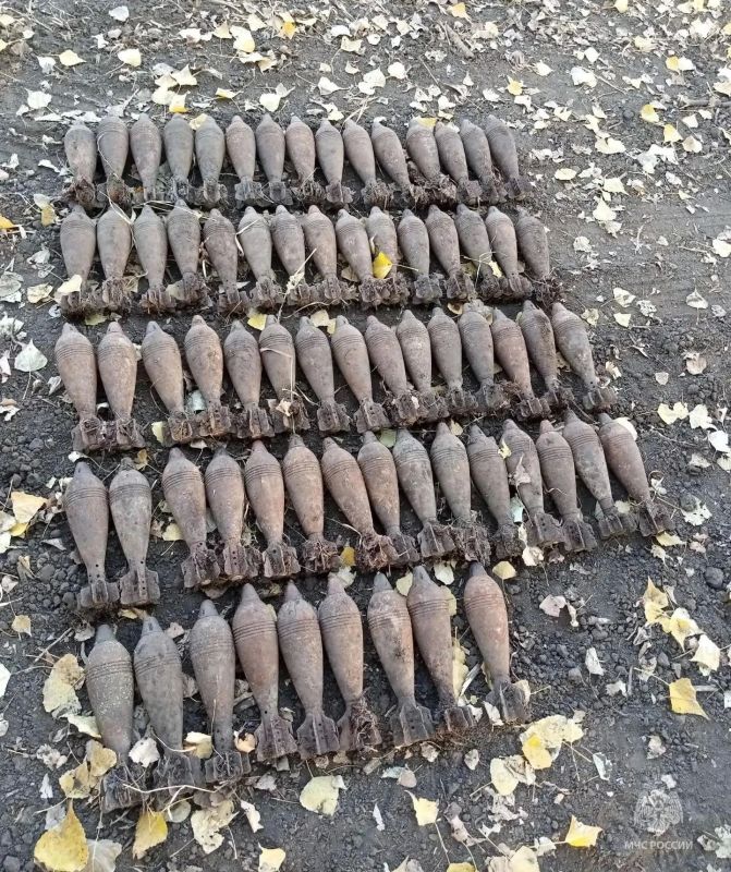 69 боеприпасов времён Великой Отечественной войны обнаружены в регионе за минувшие сутки