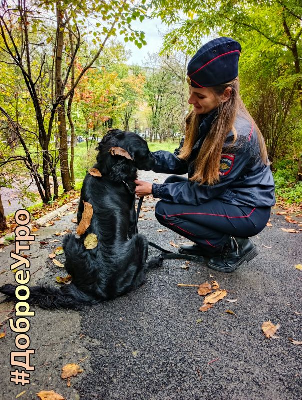 #ДоброеУтро!. Доброго пятничного утра желает подписчикам инспектор - кинолог Владивостокского ЛУ МВД России на транспорте и его верный четвероногий напарник Габи! Желаем, чтобы рабочие задачи решались легко, встречи...