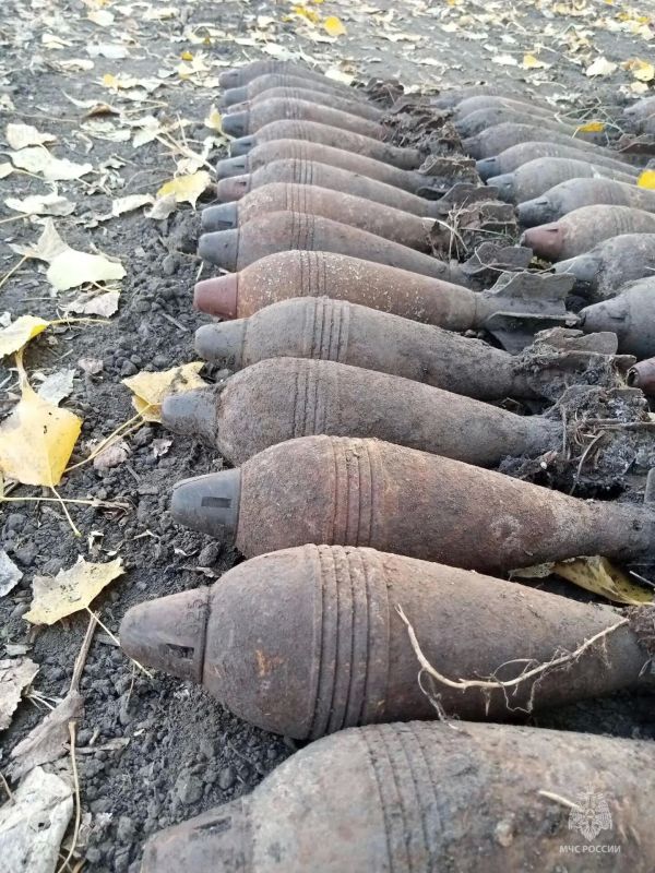 69 боеприпасов времён Великой Отечественной войны обнаружены в регионе за минувшие сутки 69 боеприпасов времён Великой Отечественной войны обнаружены в регионе за минувшие сутки