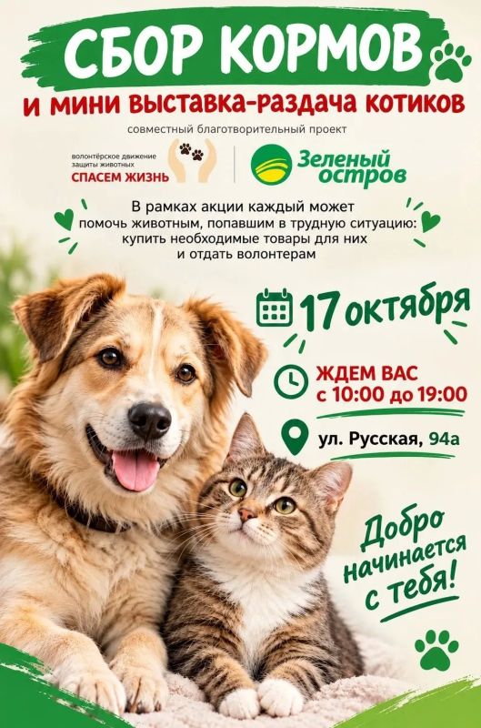 Жителей Владивостока приглашают на выставку-раздачу животных