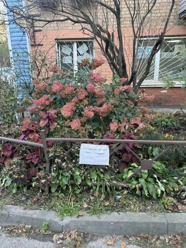Садоводы одного из домов на улице Нахимова во Владивостоке установили "заговор" для вандалов: "Кто цветок ломает, деньги потеряет" Судя по сохранности веток, так послания работают эффективнее... Садоводы одного из домов на улице Нахимова во Владивостоке установили "заговор" для вандалов: "Кто цветок ломает, деньги потеряет" Судя по сохранности веток, так послания работают эффективнее...