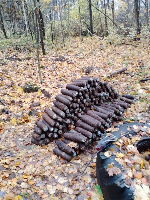 237 боеприпасов времён Великой Отечественной войны обезврежены в регионе за минувшие сутки