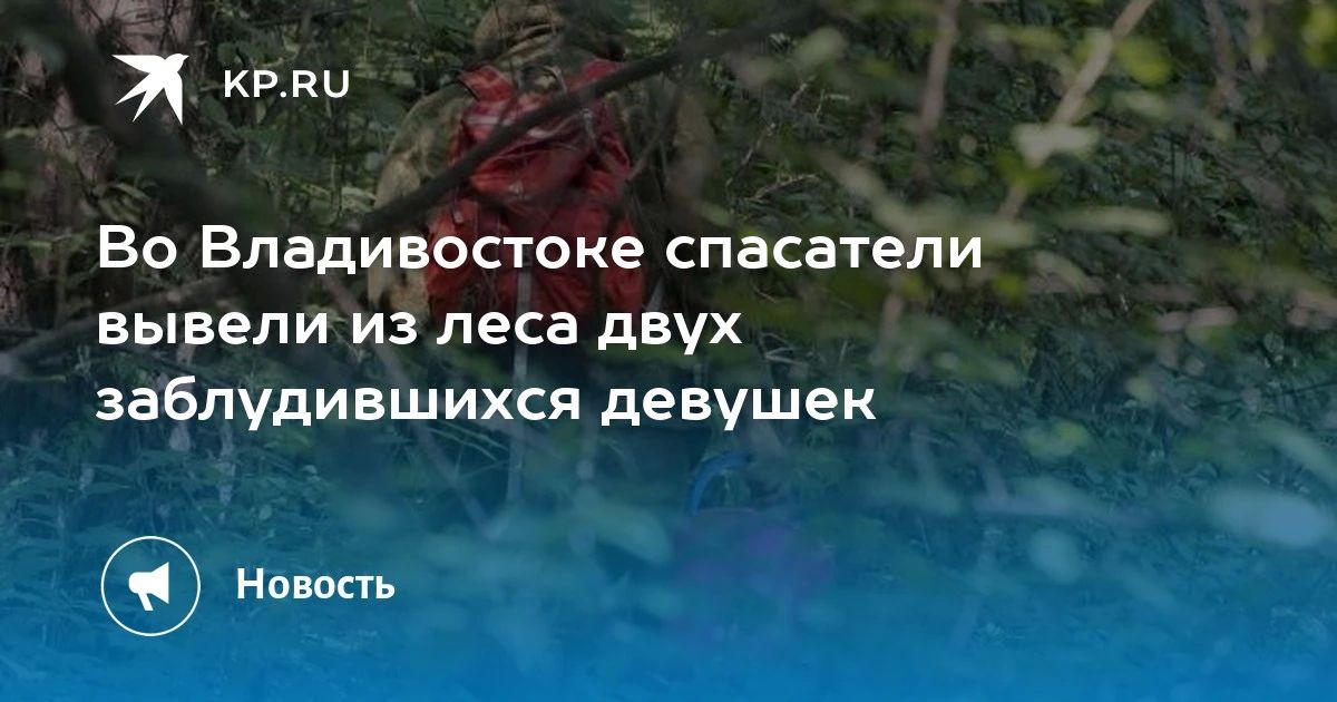 Спасение в лесу. Во Владивостоке спасатели вывели из леса двух заблудившихся девушек