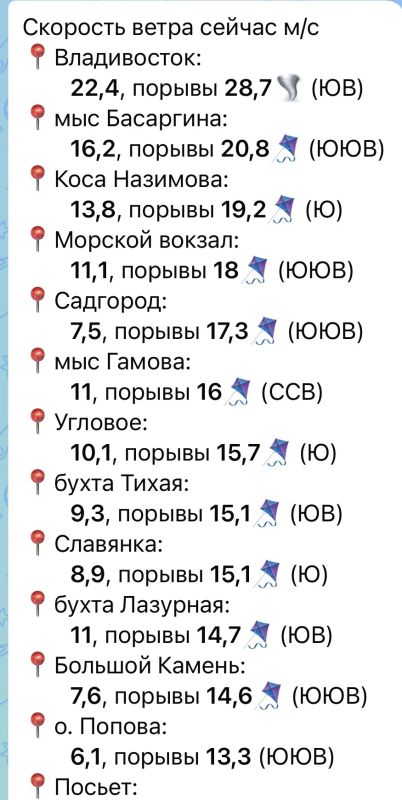 Порвы ветра во Владивостоке достигли значений «жесткого шторма»