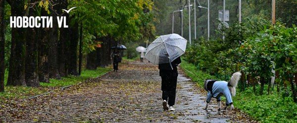 Дождливая погода вернётся во Владивосток уже в среду после недолгого прояснения