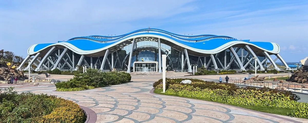 Приморский край: 88 лет созидания, силы и новых горизонтов Приморский край: 88 лет созидания, силы и новых горизонтов