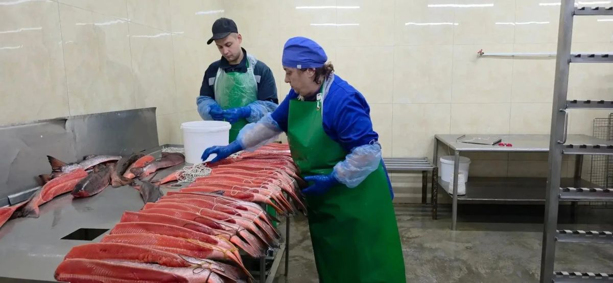В Уссурийске вопросы предпринимателей помогают формировать новые меры господдержки В Уссурийске вопросы предпринимателей помогают формировать новые меры господдержки
