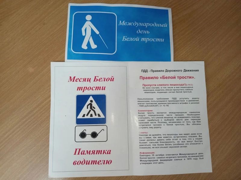 В Хорольском округе Приморья сотрудники Госавтоинспекции и члены Общественного совета провели акцию «Белая трость» В Хорольском округе Приморья сотрудники Госавтоинспекции и члены Общественного совета провели акцию «Белая трость»