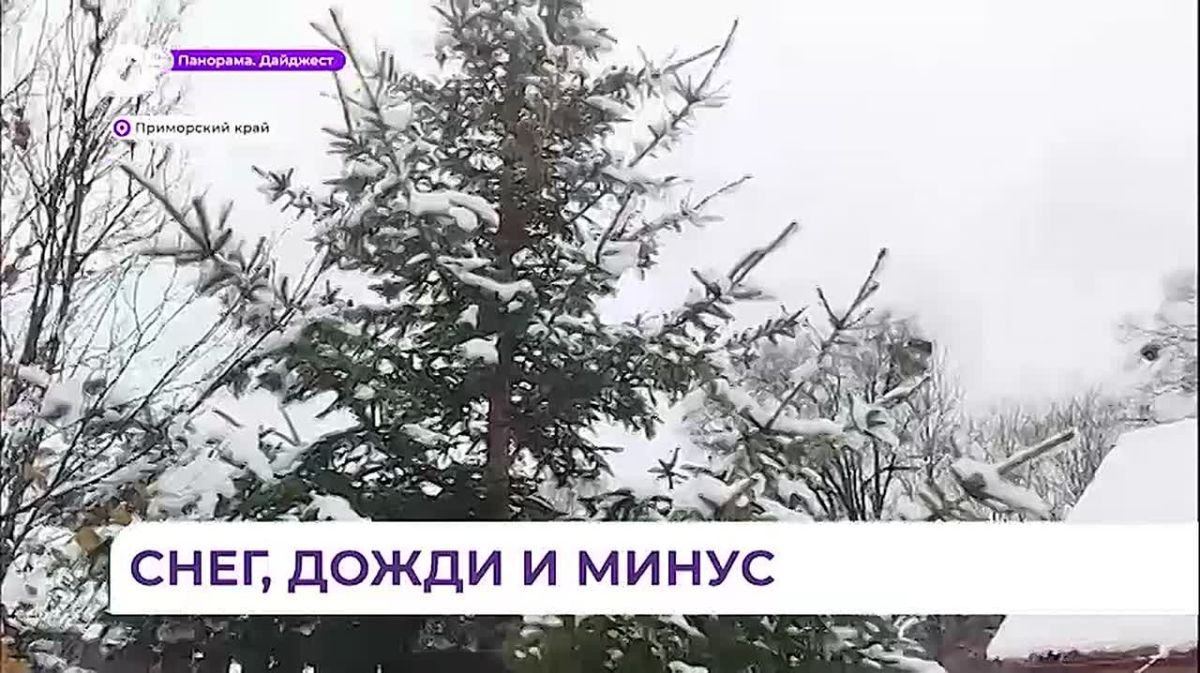 На Приморье вновь обрушился штормовой фронт