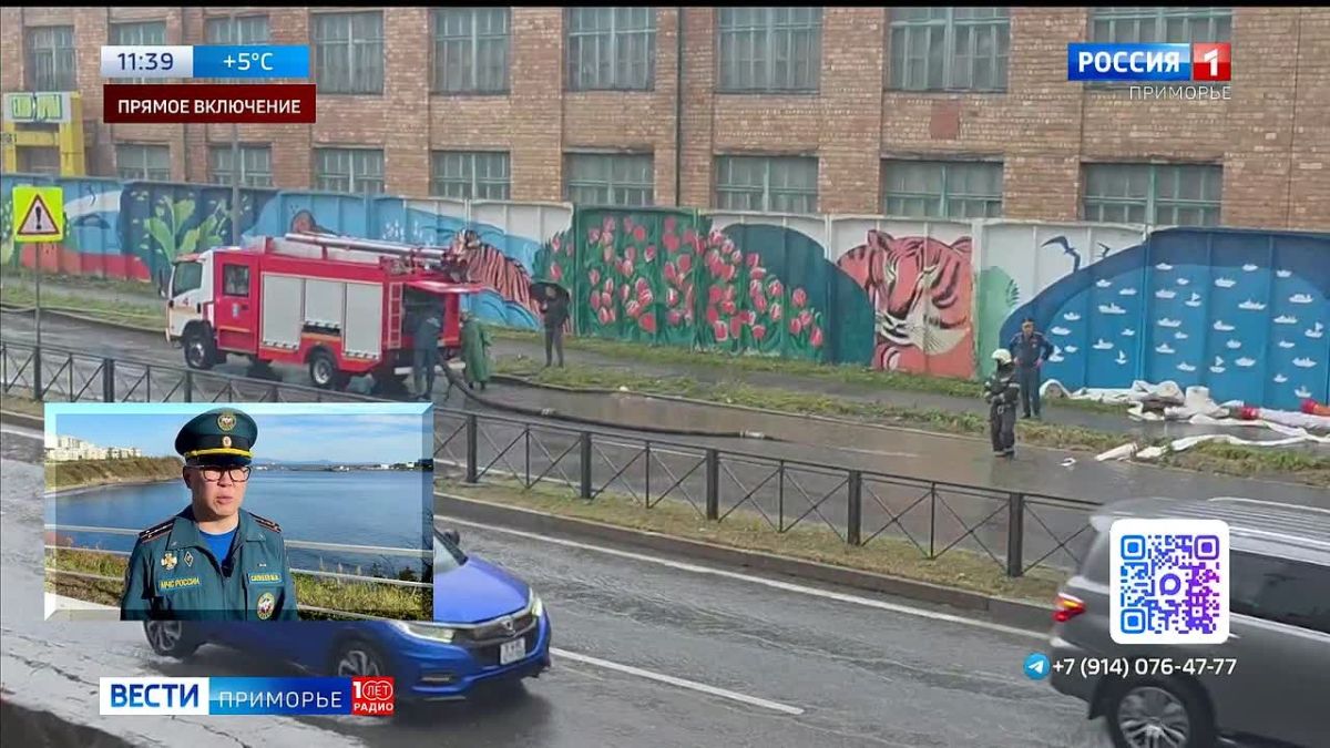 В Уссурийске крупный пожар в автомастерской уничтожил два автомобиля и серьёзно повредил здание