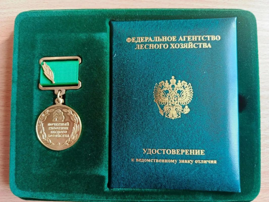 15 лет на страже леса: инструктор «Примавиабазы» получил высокую награду Рослесхоза 15 лет на страже леса: инструктор «Примавиабазы» получил высокую награду Рослесхоза