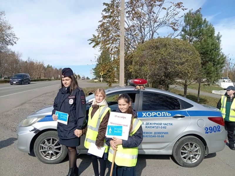 В Хорольском округе Приморья сотрудники Госавтоинспекции и члены Общественного совета провели акцию «Белая трость» В Хорольском округе Приморья сотрудники Госавтоинспекции и члены Общественного совета провели акцию «Белая трость»