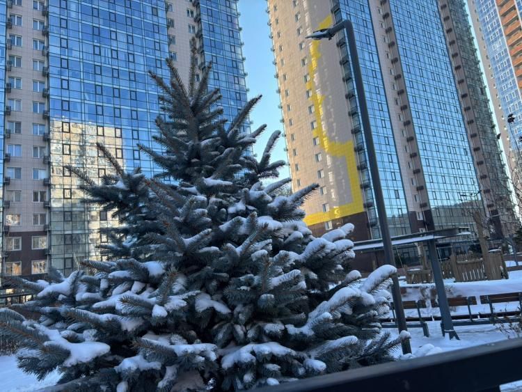Температура в Приморье опустится до 14 °C: где ждать морозов
