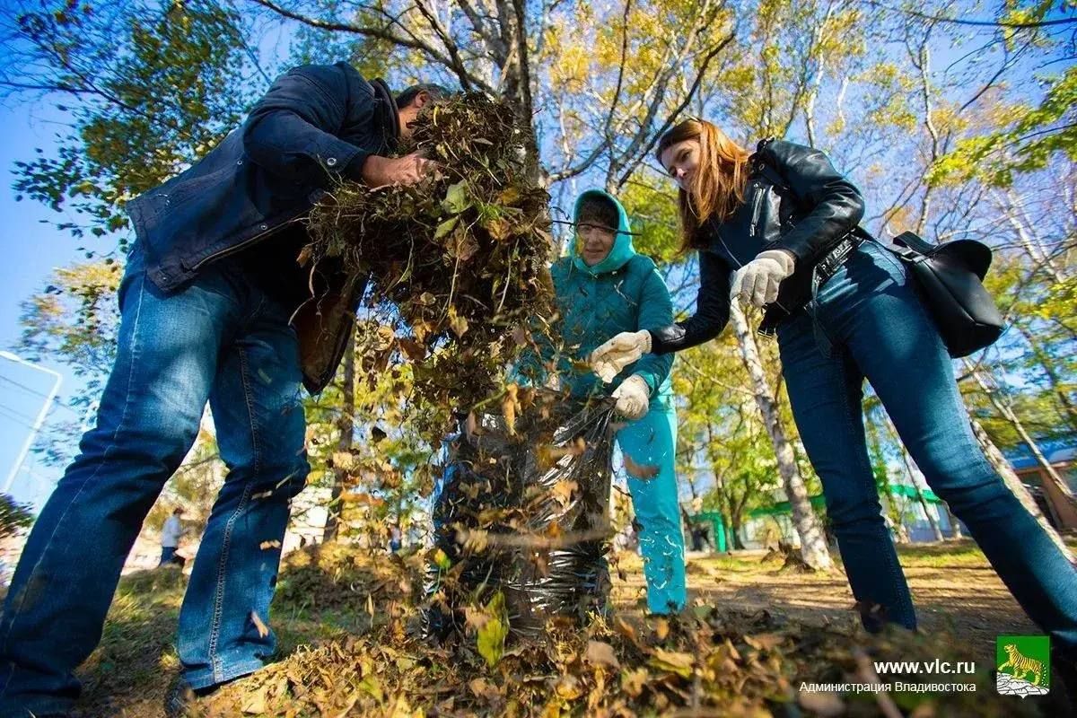 Сделаем Владивосток чище: общегородской субботник пройдёт в эти выходные