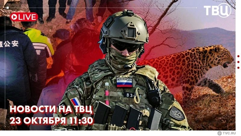 На линии боевого соприкосновения наши бойцы активно теснят противника практически на всех участках фронта