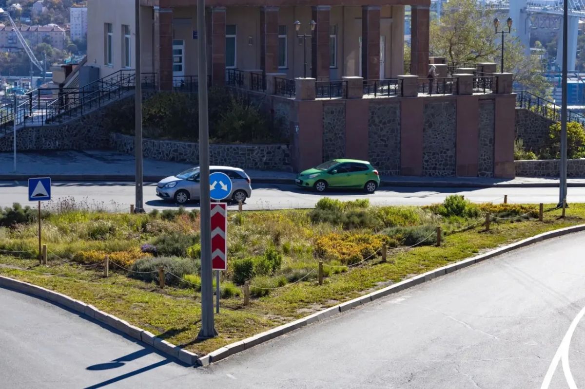 Доброе утро, Владивосток!. Любуемся цветником на фуникулёре До начала нового сезона цветения городские пространства украшают многолетние растения Доброе утро, Владивосток!. Любуемся цветником на фуникулёре До начала нового сезона цветения городские пространства украшают многолетние растения