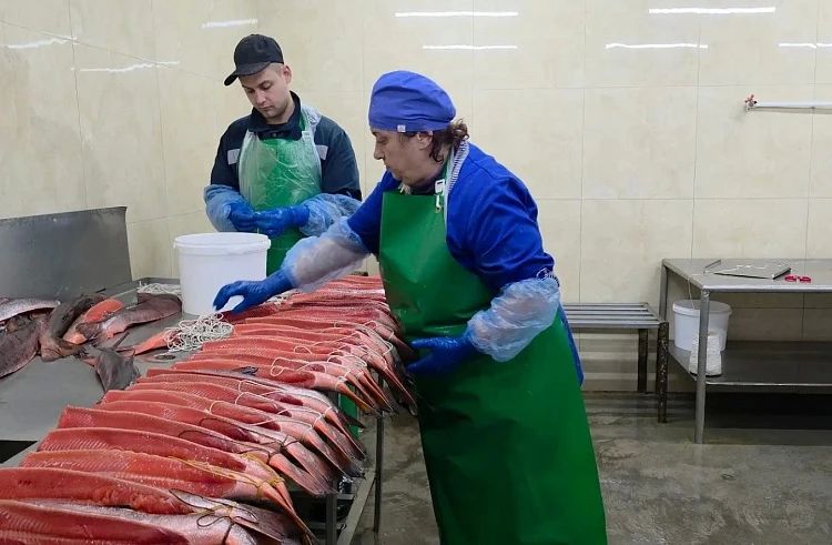 Рыбное предприятие в Уссурийске повысило производительность на 63%