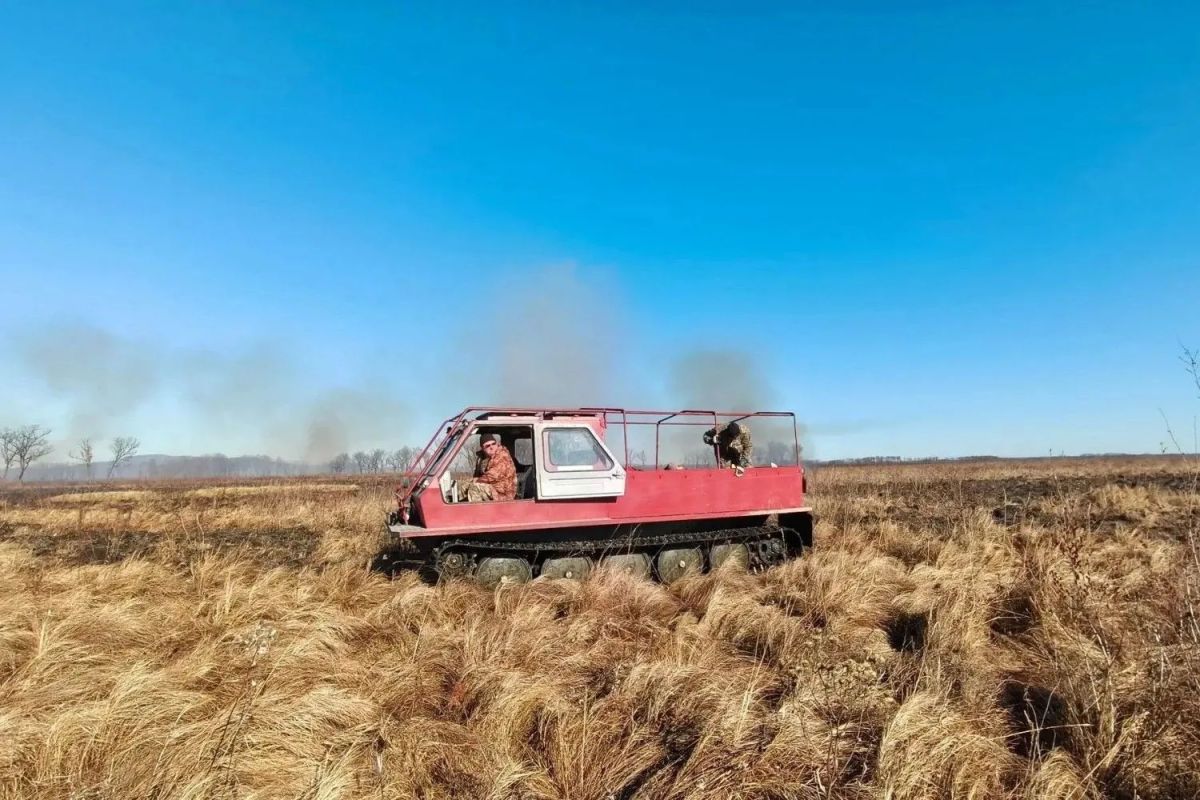 Больше тысячи гектаров за неделю