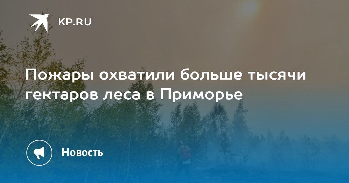 Пожары в Приморье: свыше 1000 гектаров леса под угрозой