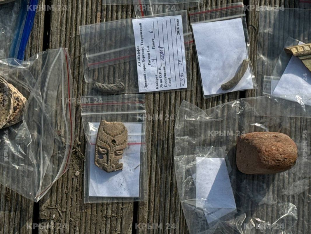 В Херсонесе Таврическом археологи нашли более 8 тысяч артефактов В Херсонесе Таврическом археологи нашли более 8 тысяч артефактов