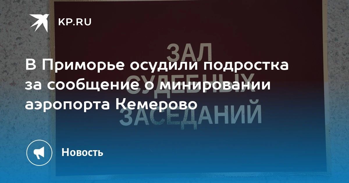 Подростка осудили за ложное минирование аэропорта