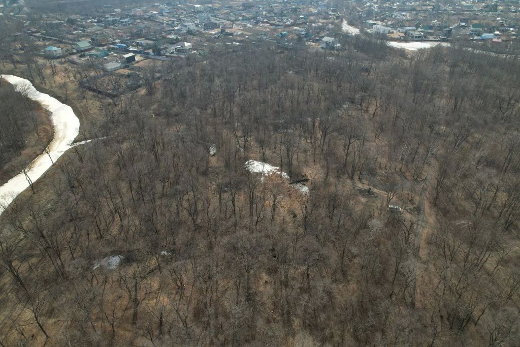 Во Владивостоке определили подрядчика для проектирования природного парка в районе Садгорода Во Владивостоке определили подрядчика для проектирования природного парка в районе Садгорода
