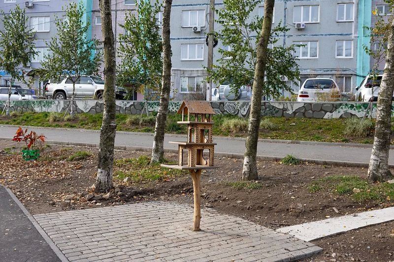 66 ТОСов Владивостока благоустроили свои дворы в этом году 66 ТОСов Владивостока благоустроили свои дворы в этом году