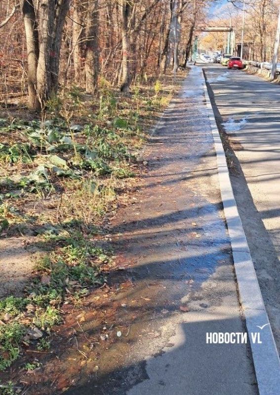 Первые заморозки во Владивостоке превратили течи в лёд