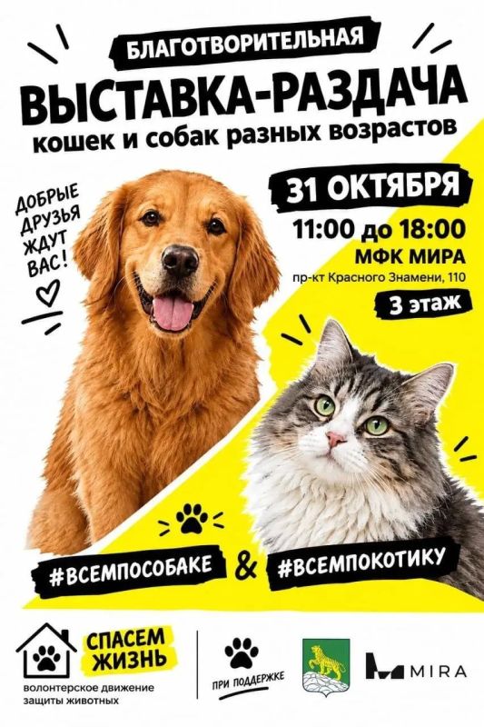 В эти выходные состоится благотворительная выставка-раздача животных