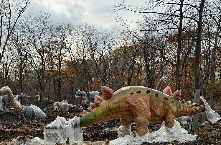 В парке Минного городка во Владивостоке установили 20 крупных фигур динозавров