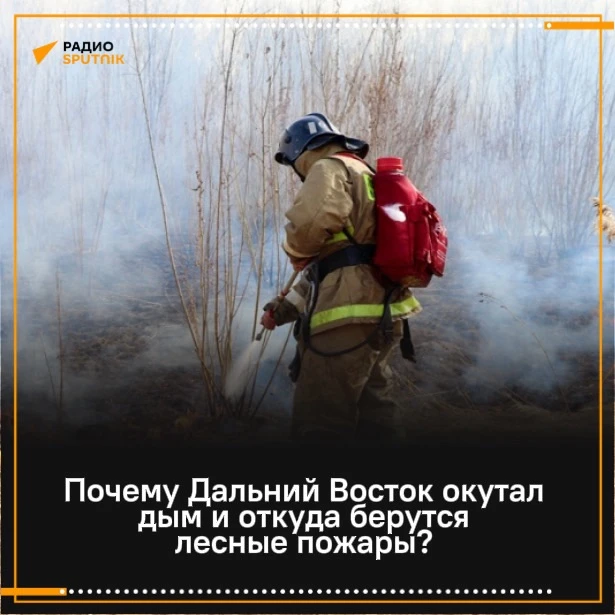 Почему Дальний Восток окутал дым и откуда берутся лесные пожары?