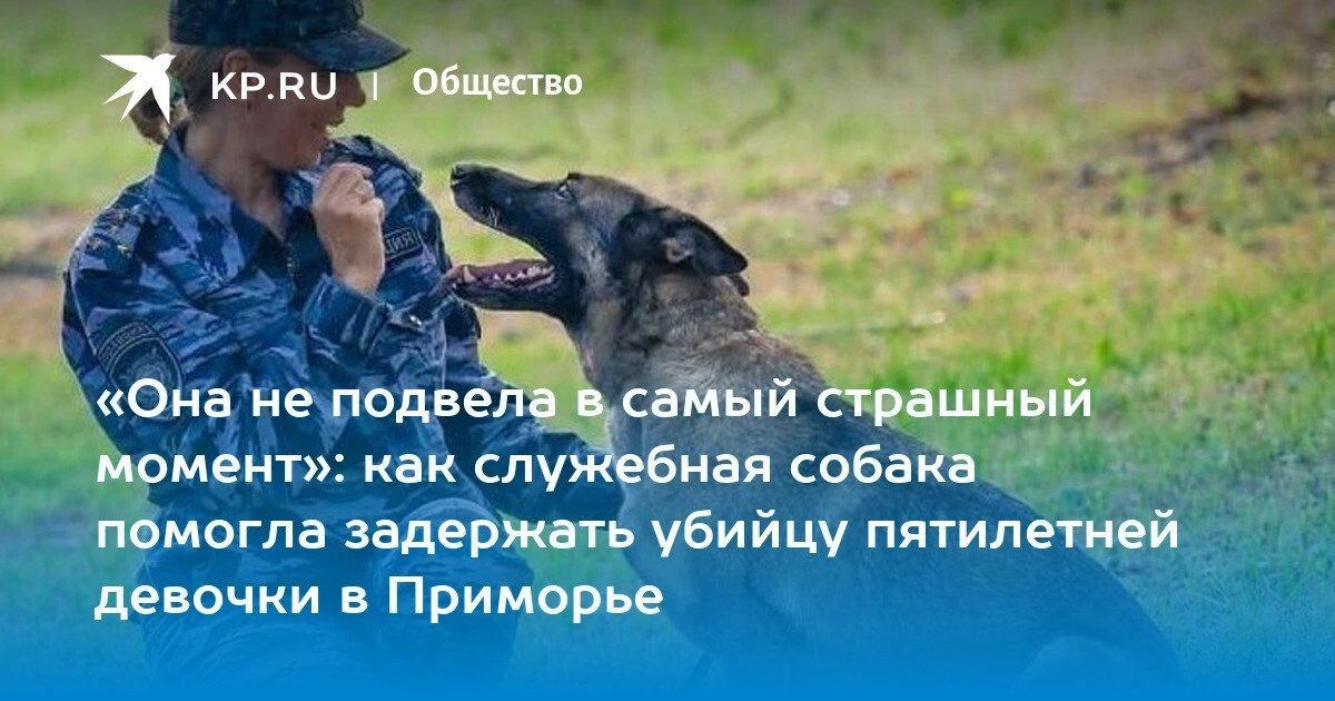 Служебная собака Мурена помогла задержать убийцу пятилетней девочки в Приморье