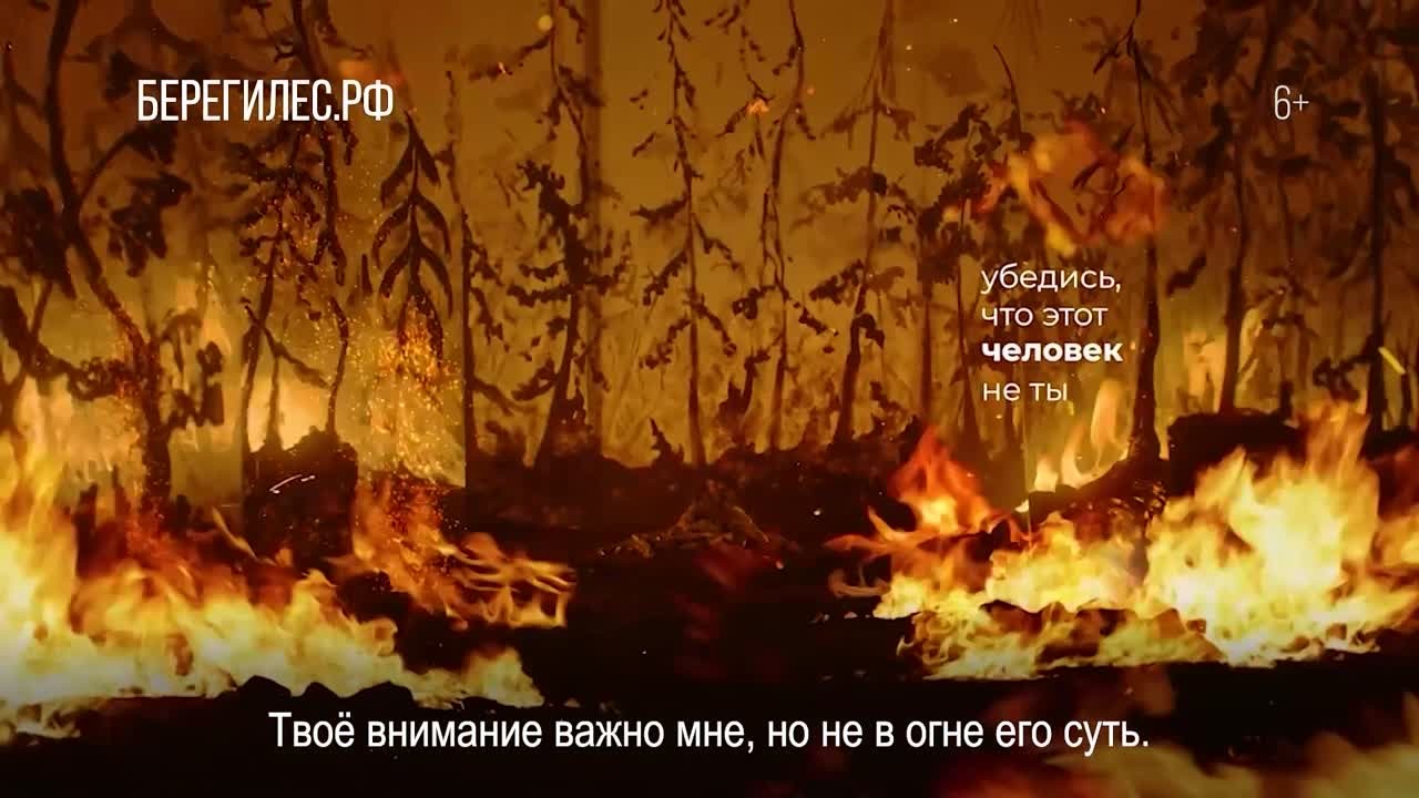 Оказался в лесу — бережней будь