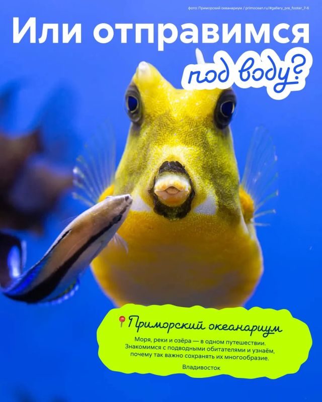 Если вы сегодня на утренних карточках выбрали цель куда-то выбраться всей семьёй на выходные — то пост для вас! Если вы сегодня на утренних карточках выбрали цель куда-то выбраться всей семьёй на выходные — то пост для вас!