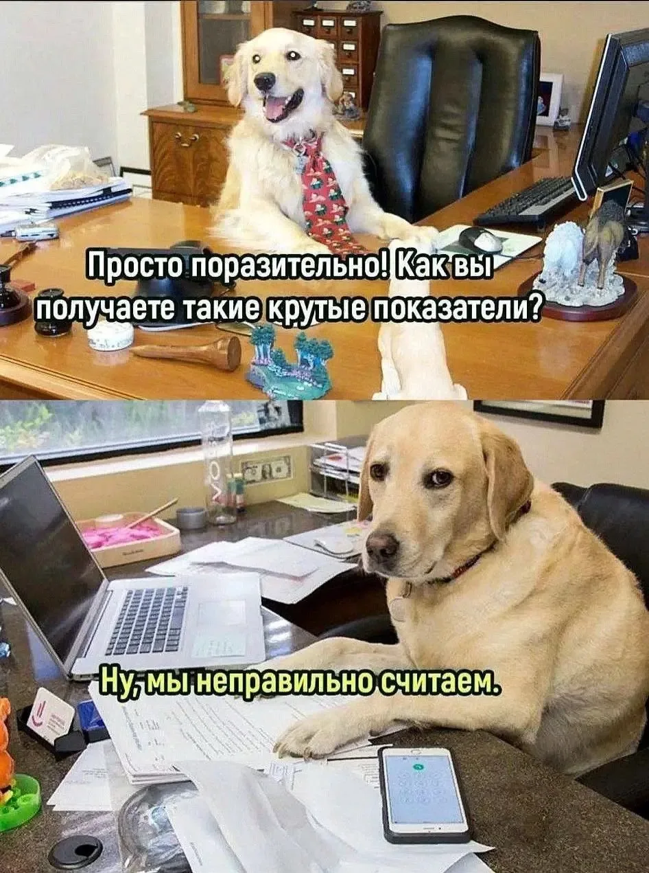 #юморвыходногодня