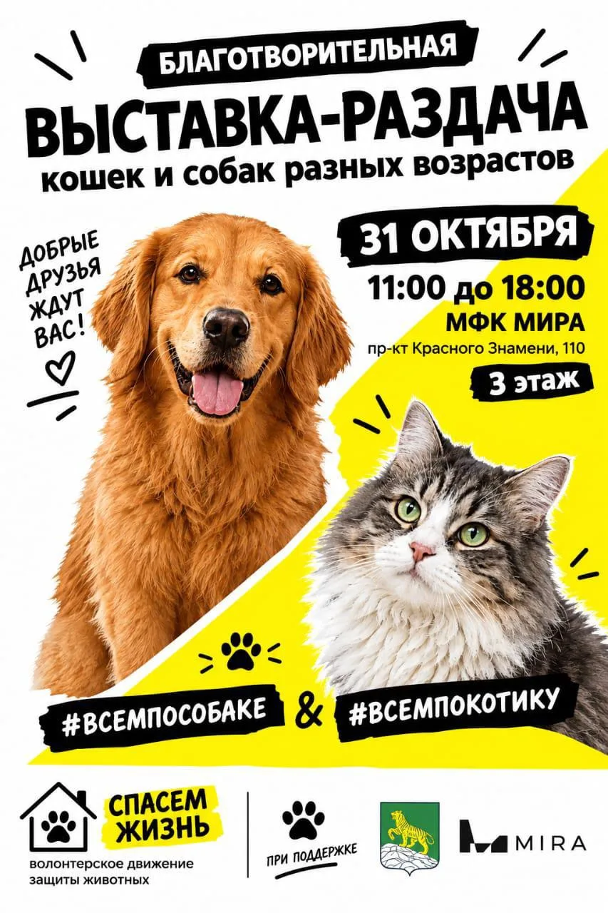 Заберите домой верного друга