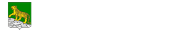 Лента новостей Владивостока